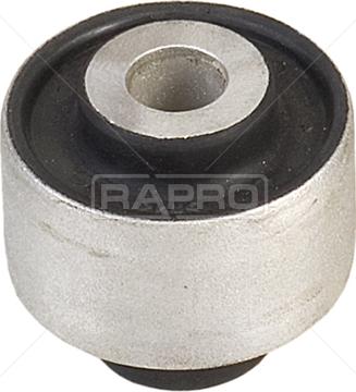 Rapro R52150 - Supporto, Braccio oscillante autozon.pro