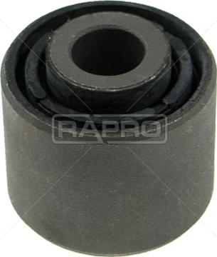 Rapro R52338 - Supporto, Braccio oscillante autozon.pro