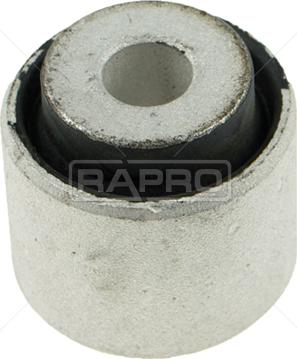 Rapro R52321 - Supporto, Braccio oscillante autozon.pro