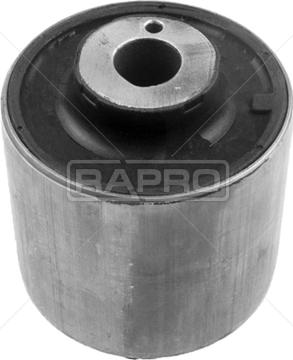 Rapro R52283 - Supporto, Braccio oscillante autozon.pro