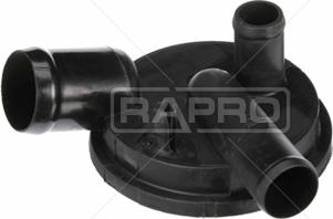 Rapro R251006 - Separatore olio, Ventilazione monoblocco autozon.pro