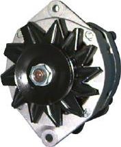 Remy RAA14246 - Alternatore autozon.pro