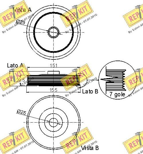 REPKIT RKT9094 - Puleggia cinghia, Albero a gomiti autozon.pro