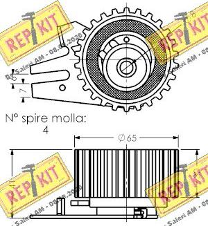 REPKIT RKT1306 - Rullo tenditore, Cinghia dentata autozon.pro