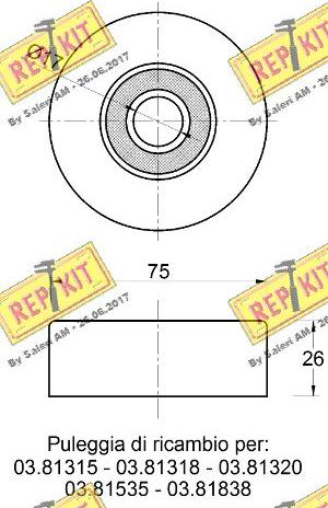 REPKIT RKT3630 - Galoppino / Guidacinghia, Cinghia Poly-V autozon.pro