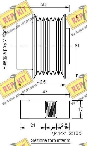 REPKIT RKT3198 - Puleggia cinghia, Alternatore autozon.pro