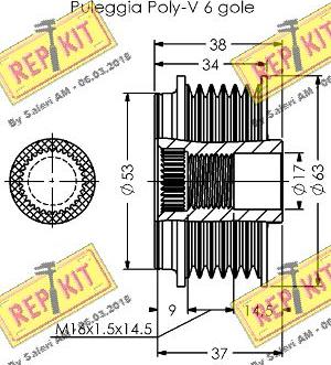 REPKIT RKT3809 - Puleggia cinghia, Alternatore autozon.pro