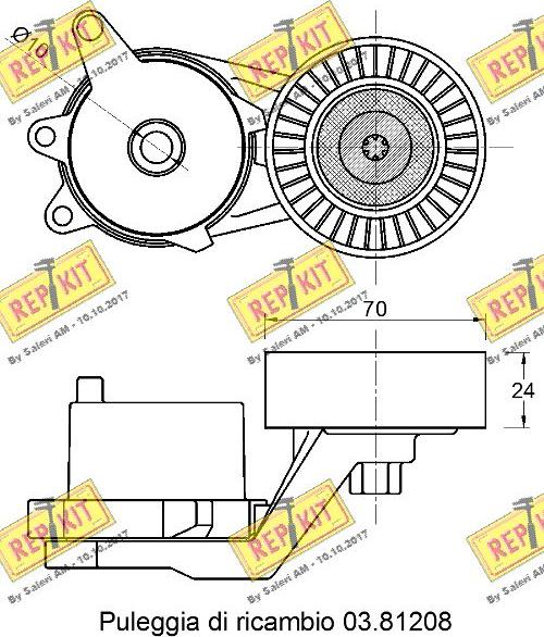 REPKIT RKT3806 - Galoppino / Guidacinghia, Cinghia Poly-V autozon.pro