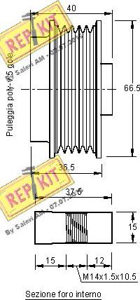 REPKIT RKT3207 - Puleggia cinghia, Alternatore autozon.pro