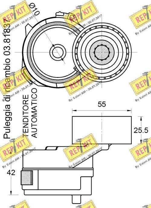 REPKIT RKT3796 - Tendicinghia, Cinghia Poly-V autozon.pro