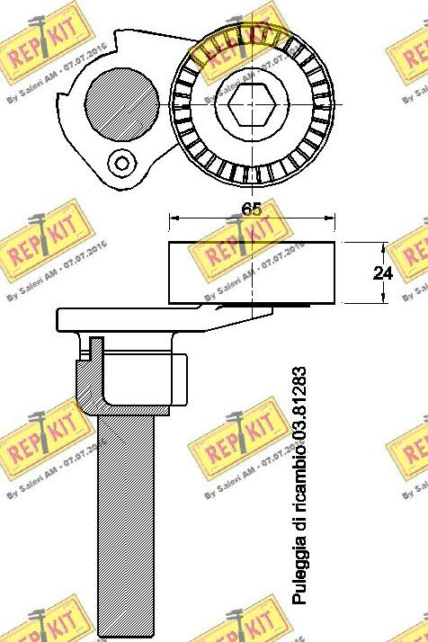 REPKIT RKT2998 - Tendicinghia, Cinghia Poly-V autozon.pro