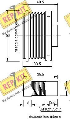 REPKIT RKT2956 - Puleggia cinghia, Alternatore autozon.pro