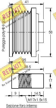 REPKIT RKT2970 - Puleggia cinghia, Alternatore autozon.pro