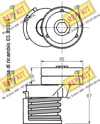 REPKIT RKT2809 - Tendicinghia, Cinghia Poly-V autozon.pro