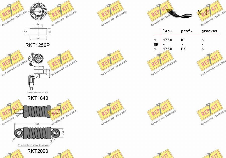 REPKIT RKTA0094 - Kit Cinghie Poly-V autozon.pro