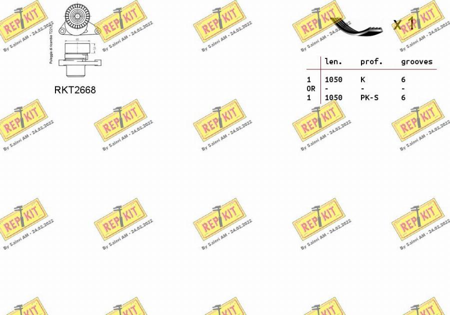 REPKIT RKTA0041 - Kit Cinghie Poly-V autozon.pro