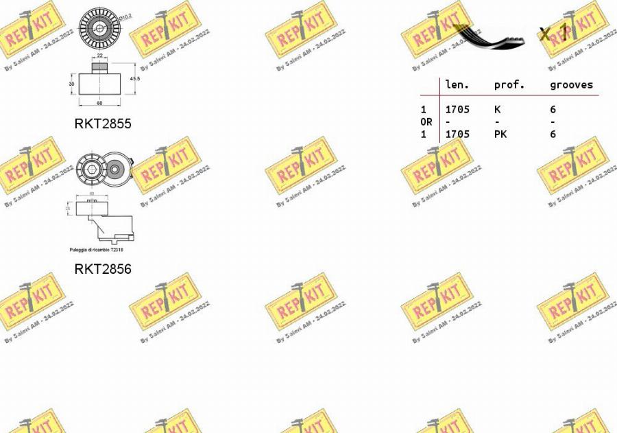 REPKIT RKTA0004 - Kit Cinghie Poly-V autozon.pro