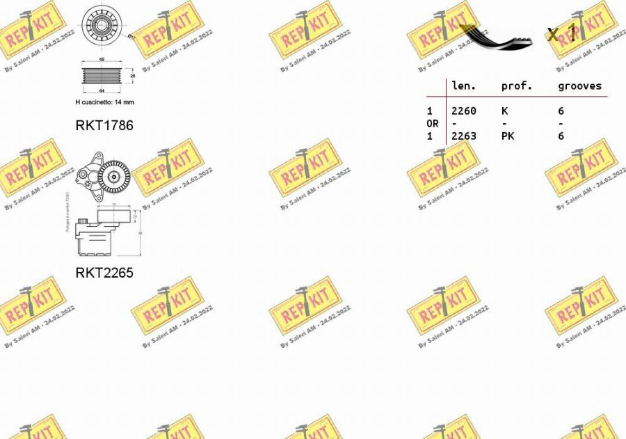 REPKIT RKTA0029 - Kit Cinghie Poly-V autozon.pro