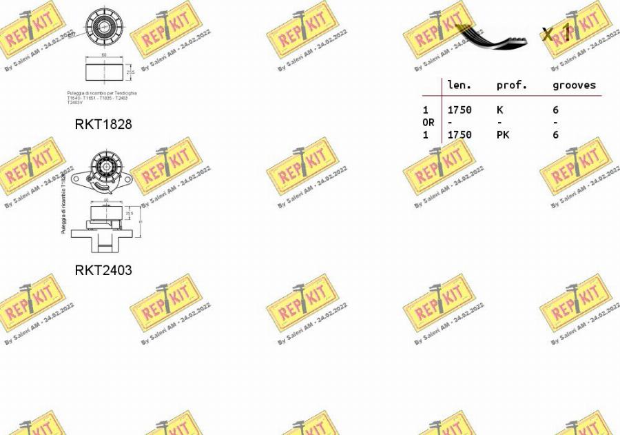 REPKIT RKTA0028 - Kit Cinghie Poly-V autozon.pro