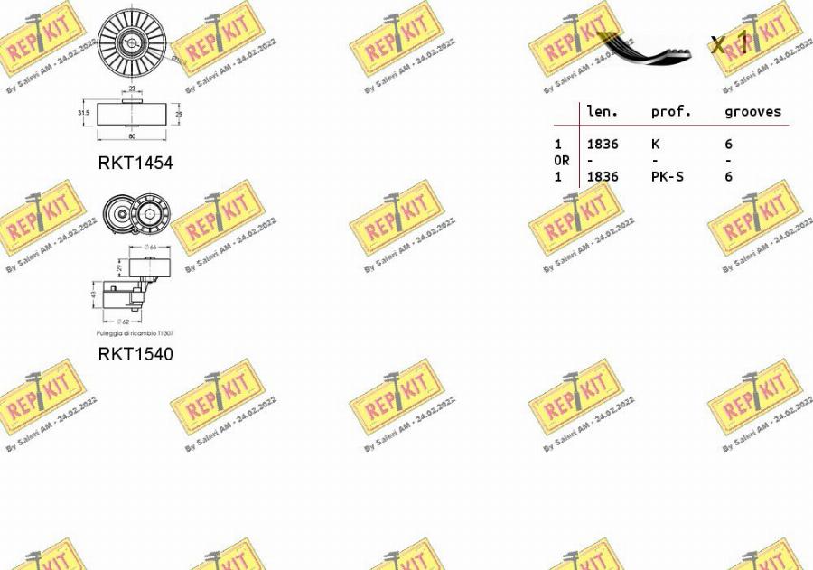 REPKIT RKTA0101 - Kit Cinghie Poly-V autozon.pro