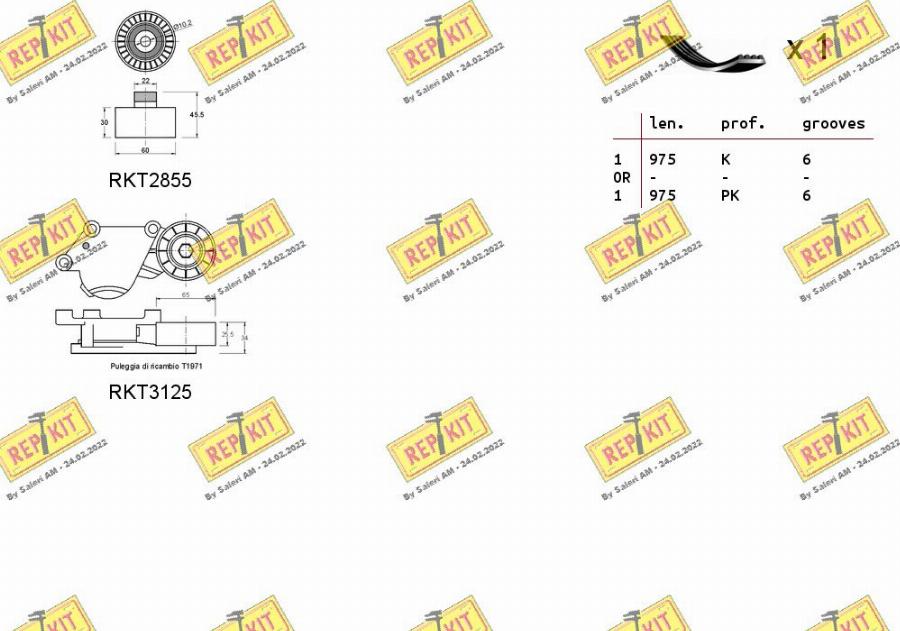 REPKIT RKTA0131 - Kit Cinghie Poly-V autozon.pro