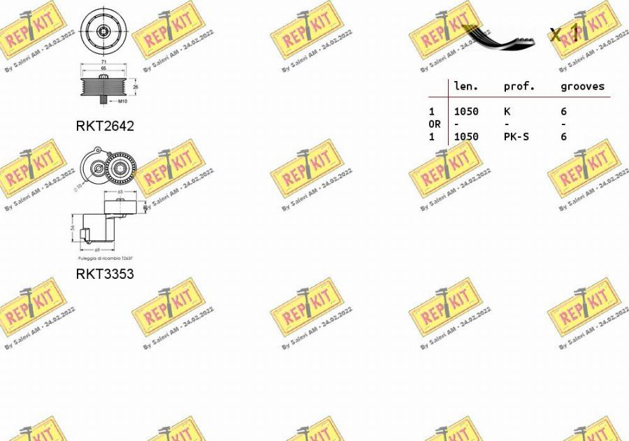 REPKIT RKTA0128 - Kit Cinghie Poly-V autozon.pro