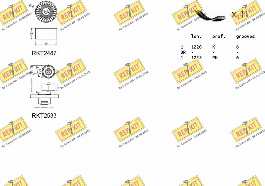 REPKIT RKTA0123 - Kit Cinghie Poly-V autozon.pro