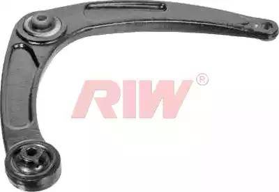 RIW PE6033 - Braccio oscillante, Sospensione ruota autozon.pro