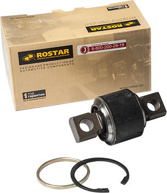 Rostar 180.2231 - Kit riparazione, Braccio oscillante autozon.pro