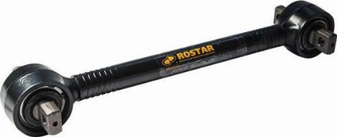 Rostar 1376-2919010 - Braccio oscillante, Sospensione ruota autozon.pro