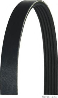 Roulunds Rubber 5K0836 - Cinghia Poly-V autozon.pro