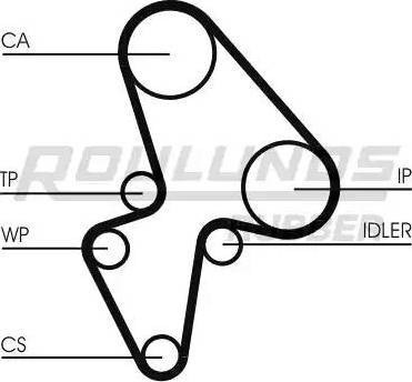 Roulunds Rubber RR1189 - Cinghia dentata autozon.pro