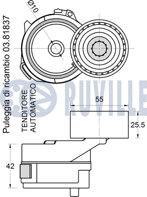 Ruville 542782 - Tendicinghia, Cinghia Poly-V autozon.pro