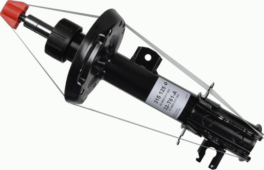 SACHS 315 125 - Ammortizzatore autozon.pro