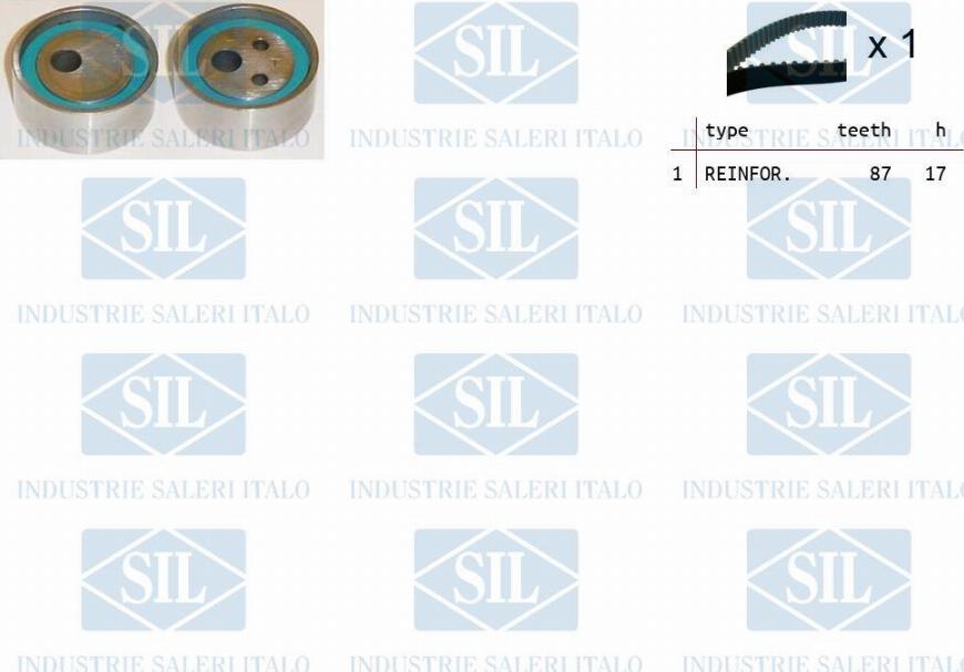 Saleri SIL TK1010 - Kit cinghie dentate autozon.pro