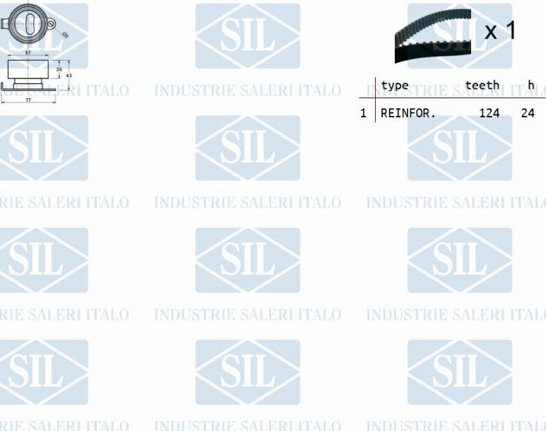 Saleri SIL TK1079 - Kit cinghie dentate autozon.pro