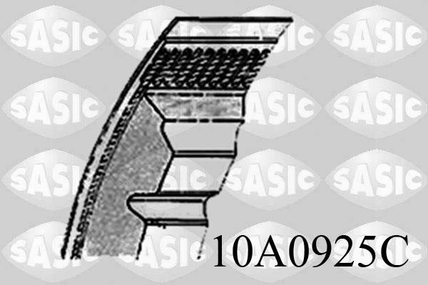 Sasic 10A0925C - Cinghia Poly-V autozon.pro