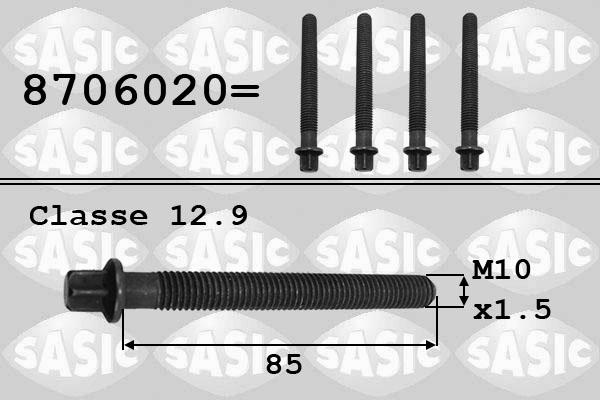 Sasic 8706020 - Vite centraggio, Puleggia-Albero motore autozon.pro