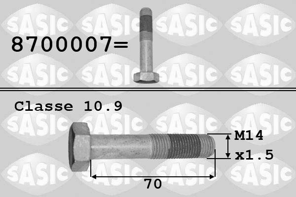 Sasic 8700007 - Bullone puleggia autozon.pro