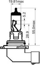 SCT-MANNOL 202990 - Lampadina, Faro principale autozon.pro