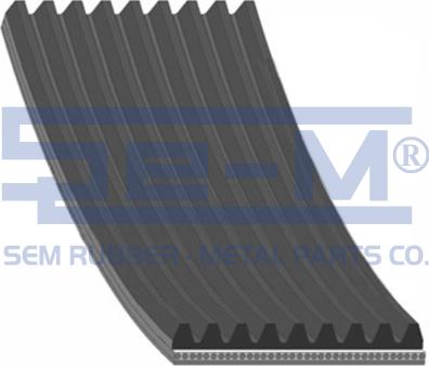 Sem Lastik 10381 - Cinghia Poly-V autozon.pro