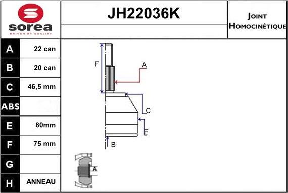 Sera JH22036K - Kit giunti, Semiasse autozon.pro