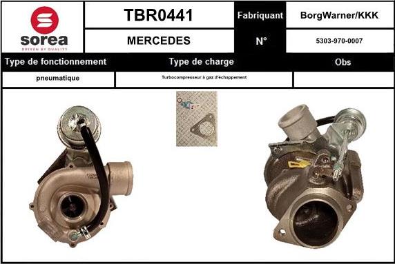 Sera TBR0441 - Turbocompressore, Sovralimentazione autozon.pro