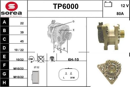 Sera TP6000 - Alternatore autozon.pro