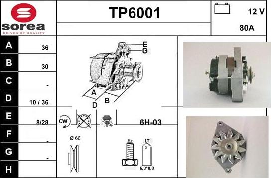 Sera TP6001 - Alternatore autozon.pro