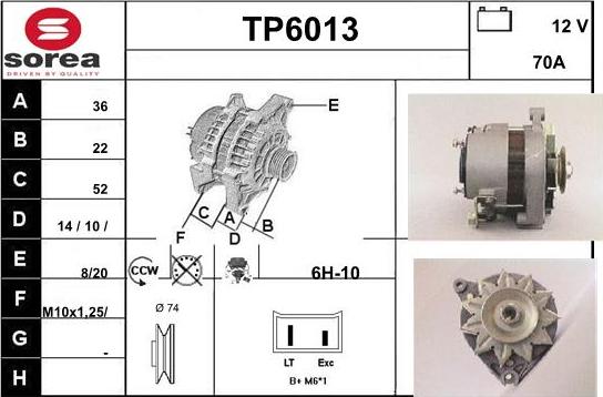 Sera TP6013 - Alternatore autozon.pro