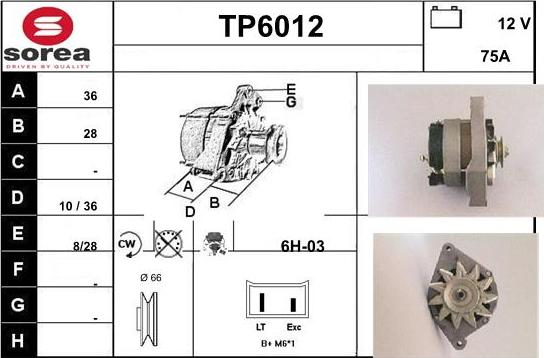 Sera TP6012 - Alternatore autozon.pro