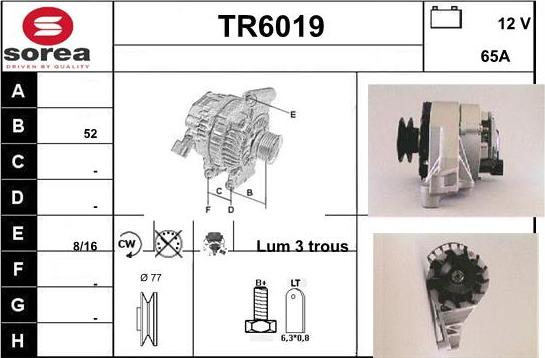 Sera TR6019 - Alternatore autozon.pro