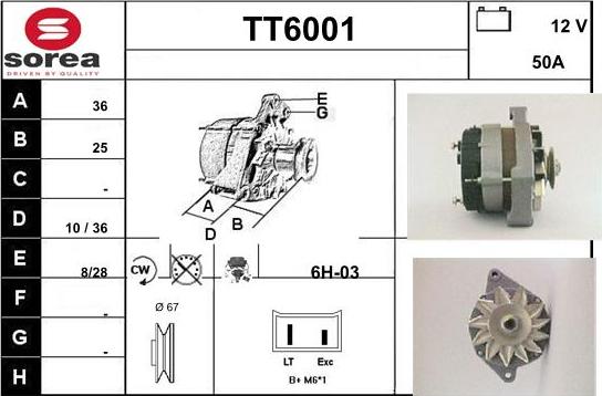 Sera TT6001 - Alternatore autozon.pro