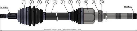 Sercore 221829 - Albero motore / Semiasse autozon.pro